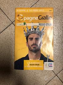 Pagine gialle imprese Reggio Emilia 2015