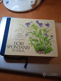 Guida pratica ai fiori spontanei in Italia 