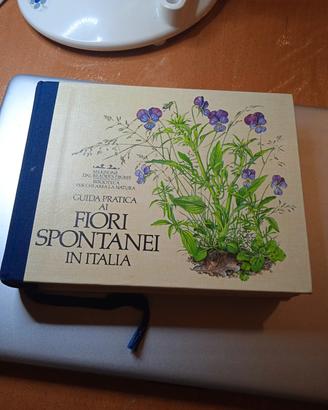 Guida pratica ai fiori spontanei in Italia 