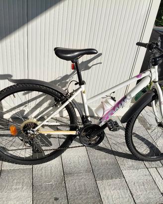 Mountain bike 