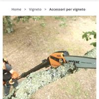 potatore telescopico pellenc 