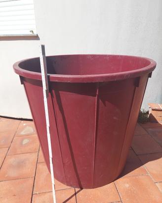vasca per mosto