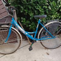 Bici donna 26