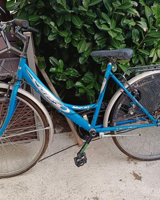 Bici donna 26
