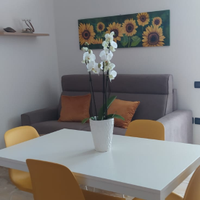 Disponibile da luglio