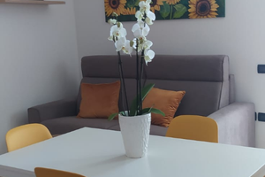 Disponibile da luglio