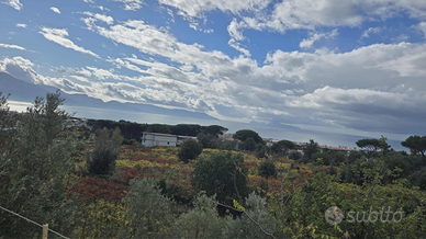 Porzione di bifamiliare