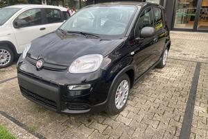 FIAT Panda 1.0 70cv Hybrid Panda N71489