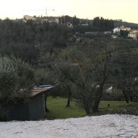 Terreno Oliveto