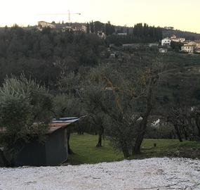 Terreno Oliveto