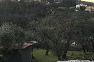 Terreno Oliveto