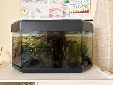 Acquario