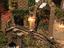 Immagine 4