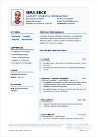 Lavapiatti Pulizie Panettiere Facchinaggio