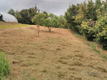 Terreno agricolo