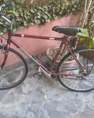 bici altus Shimano 