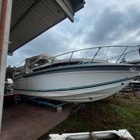 Formula 30 con con volvo 431