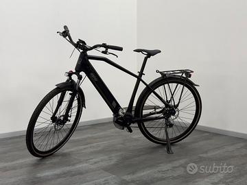 E-BIKE Aster Hybrid
