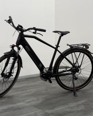 E-BIKE Aster Hybrid