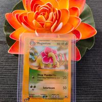 meganium reverse Holo 