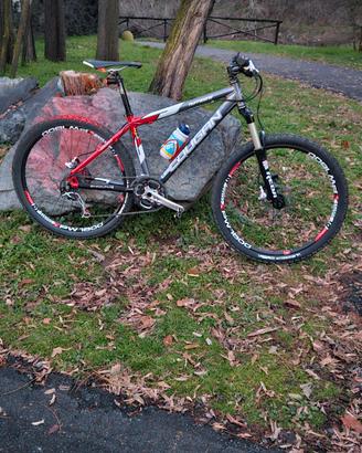 bicicletta 
