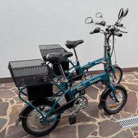 Biciclette elettriche