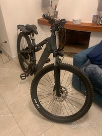 Bicicletta elettrica biammortizzata