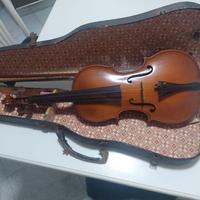Violino fine 800.