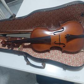 Violino fine 800.