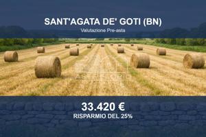 Immobile in asta di 93407 m² a Sant'Agata de' Goti
