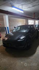 TESLA Model Y AWD Performance