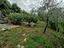 Immagine 20