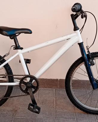bicicletta 20 pollici