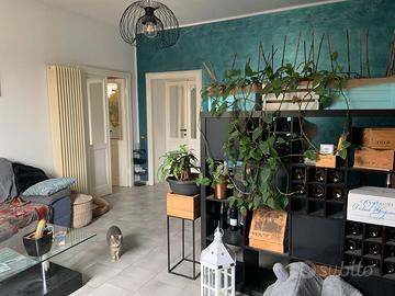 Appartamento ampio e luminoso