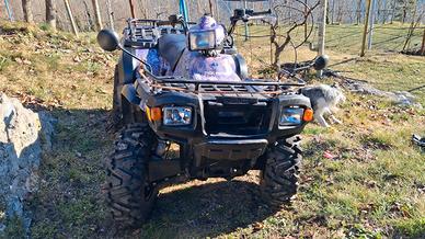 Quad Polaris 
