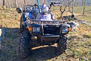 Quad Polaris 