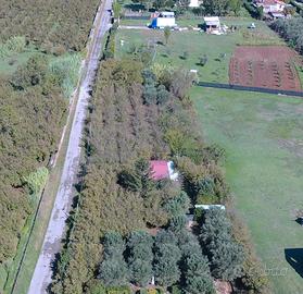 Noccioleto con annesso agricolo magazzini e pozzo