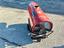 Immagine 8