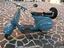 Immagine 1
