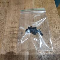 Sansui clip piedini Giradischi