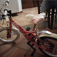 Bici bimba piccola