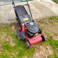 tagliaerba a benzina 