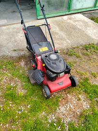 tagliaerba a benzina 