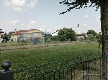 Magazzino con terreno