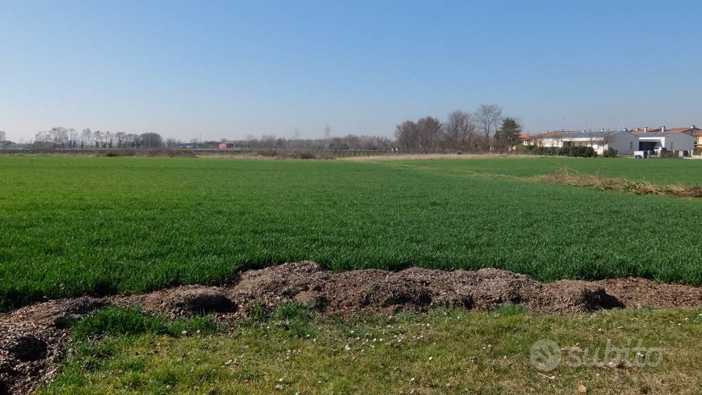 Terreno di 180 m² a Casale sul Sile - Vista 4