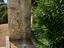 Immagine 9
