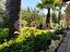 Immagine 10