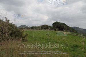 Terreno Agricolo San Vincenzo [A4359761]