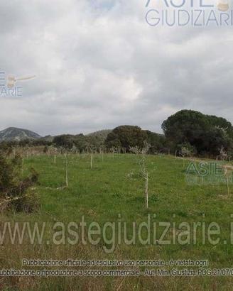 Terreno Agricolo San Vincenzo [A4359761]