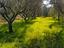 Immagine 11
